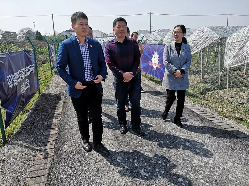 风采展示平湖市林埭镇徐家埭村党群服务中心