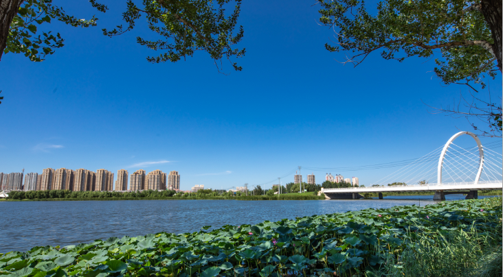 沈北新区丨道义板块崛起,销量领衔沈城