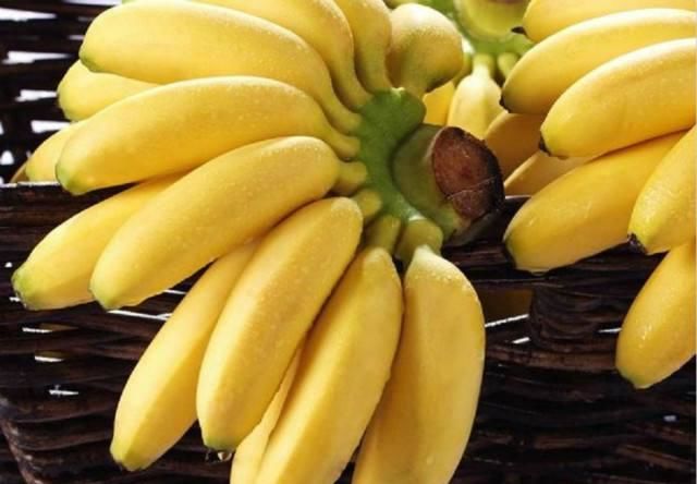 香蕉什么时候开 71edef40fff24ba4bc13fa455328f536.jpeg