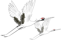 �����ֺš�Ʒ�ƽ��裬�ĸ�֧��������������