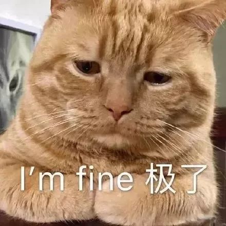 表情包丨两百斤的我，满脸写着可爱
