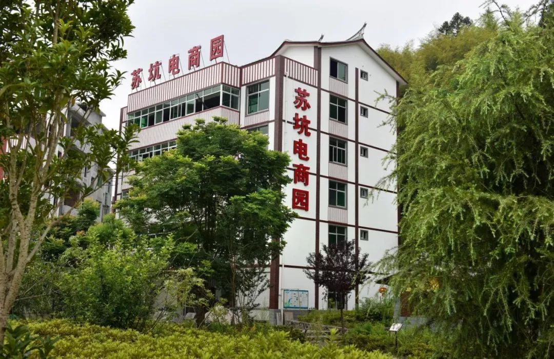 苏坑人口_人口普查图片(3)