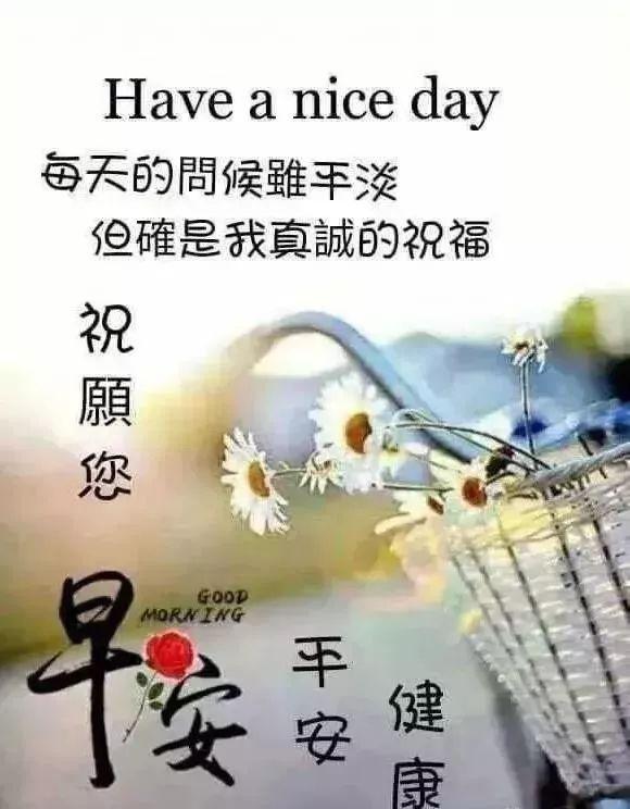 8e69c89e4d7c4a1c87b4ddcf6f9aee66.jpeg