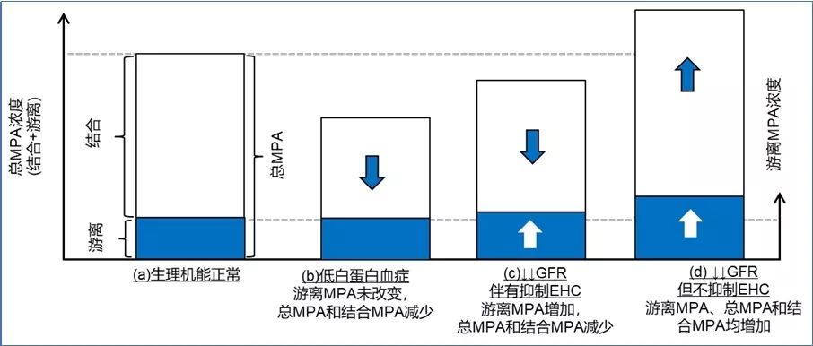 肾小球滤过率低是怎么造成的 91d54a116a6c433188abed81696c1b4d.jpeg