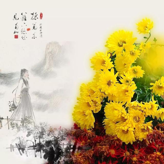 采菊东篱下简谱_采菊东篱下简谱儿歌