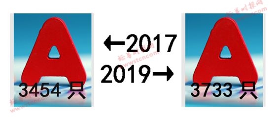 A股的2017-2019！