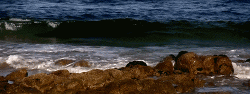 500_188gif 动态图 动图