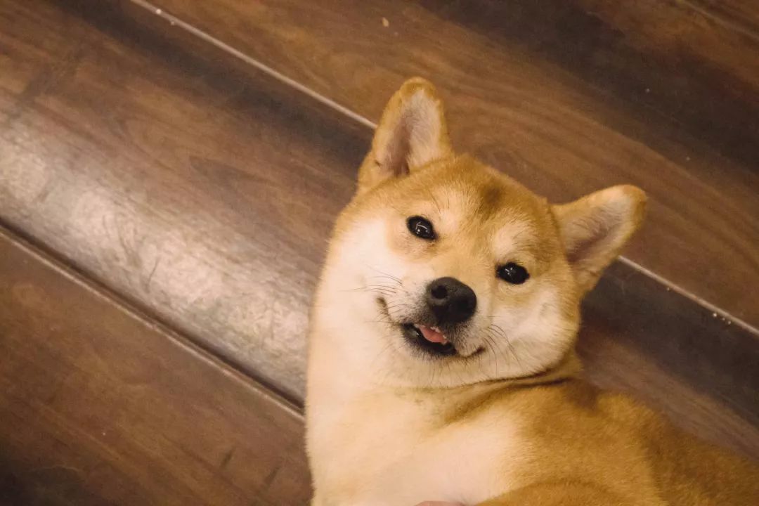 b2693ea85b084624ae6310b805c4288f.jpeg