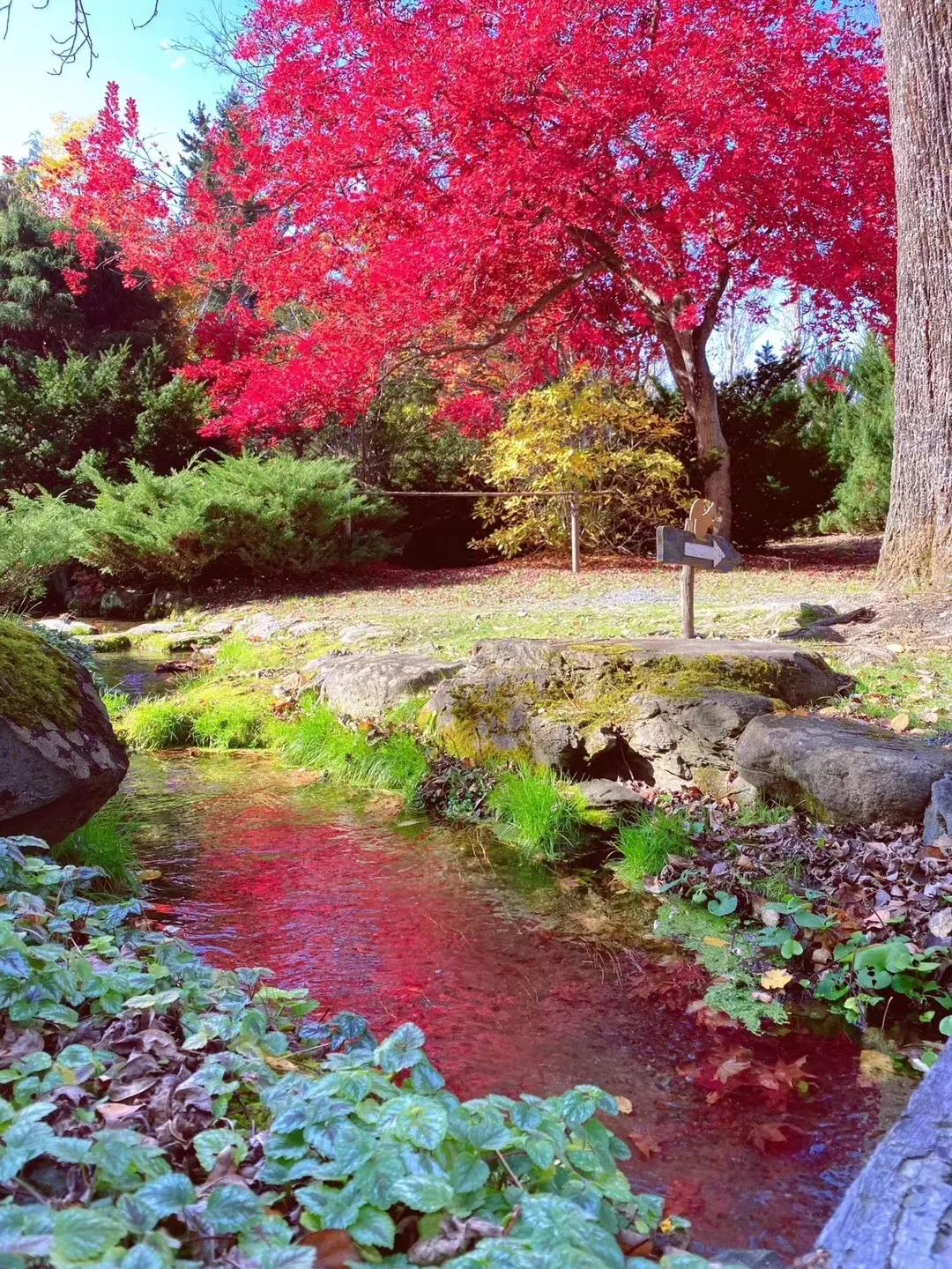 最美风景 | mariannebolle 2019日本北海道游学之旅