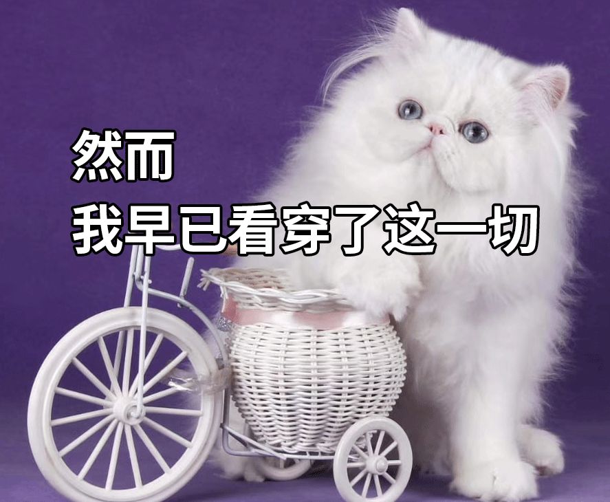 房企很艰难 城市很纠结！继一线之后 银行出手了