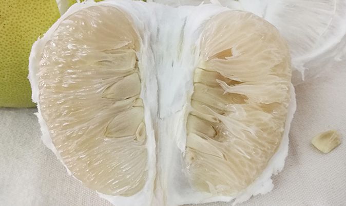 柚子怎么保存起来更久 b8fdcd00e74e42e3806634fc502500aa.jpeg