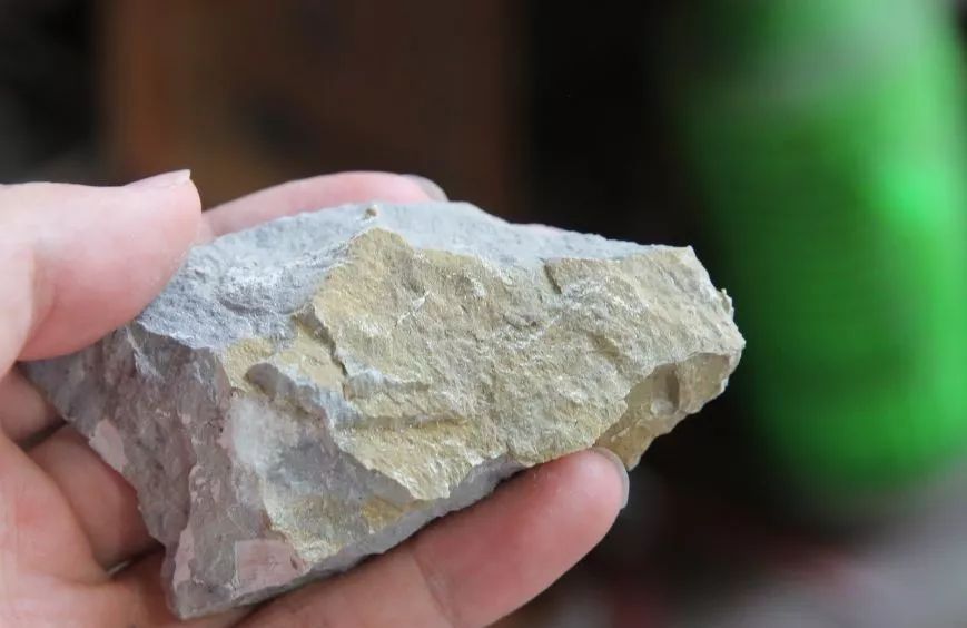 四号井矿层剖面图本山绿泥产于黄龙山仅数厘米厚,其矿物组成为水云母