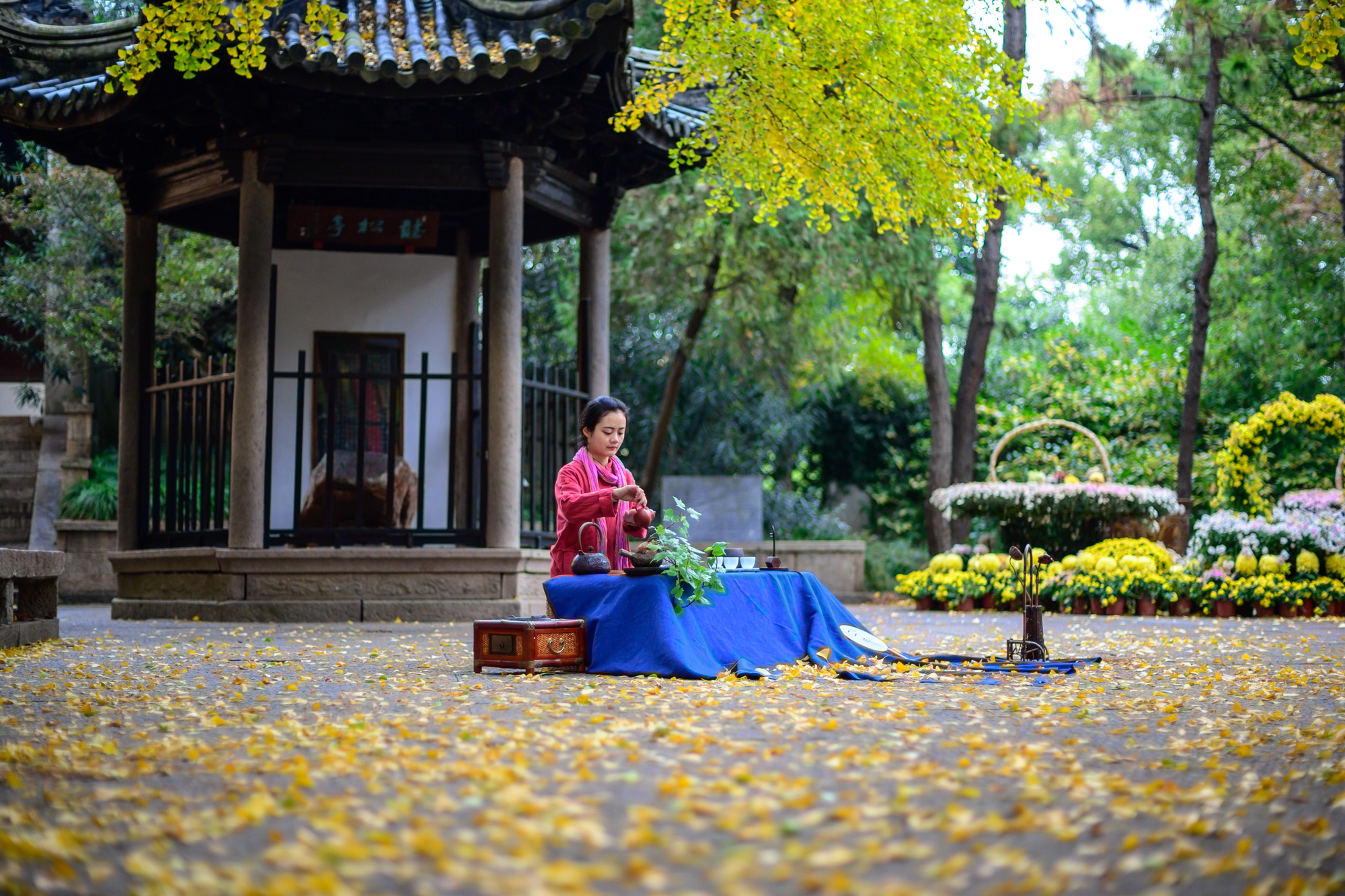 无锡排名第一的古寺，至今1500多年历史，寺前有一棵600年古银杏