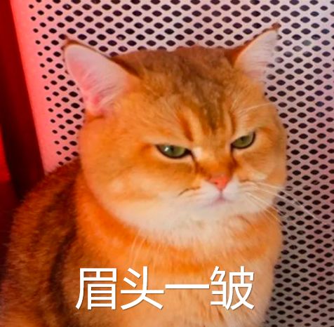 d1da2b72b7db49c0b2eaaaae9cf0ccbf.jpeg