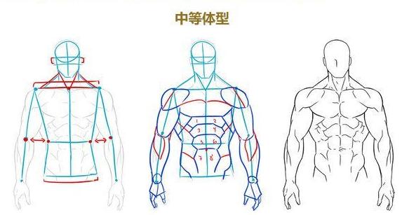 「推荐」男性肌肉绘画技巧!非常全面的漫画动漫男性身材绘画技巧