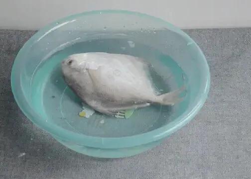 dd06f1c219b44465b0fd46eb1b37bf6d.jpeg