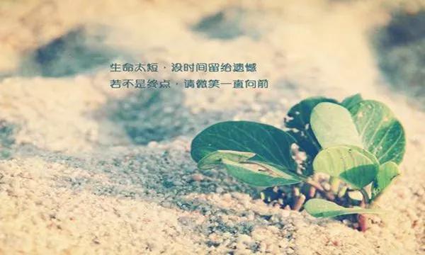 e08650ff40844c2d808a5fb7fe985429.JPG