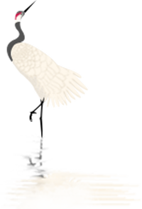 �����ֺš�Ʒ�ƽ��裬�ĸ�֧��������������