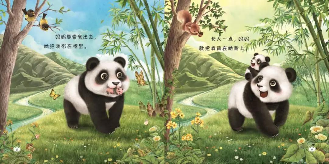 国宝panda又来卖萌啦,"童书皇后"杨红樱绘本新作_熊猫