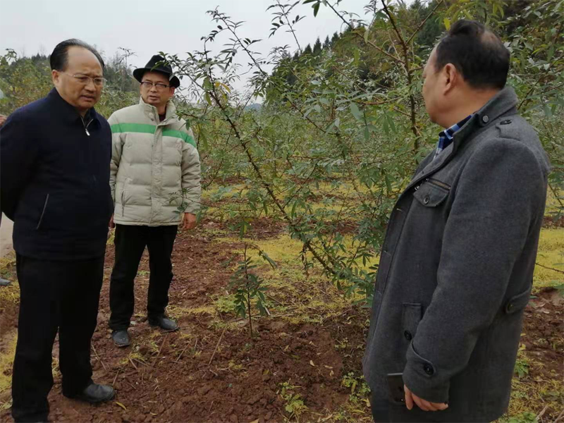 副县长何德清深入刀尖河村督导扶贫工作_范洪福