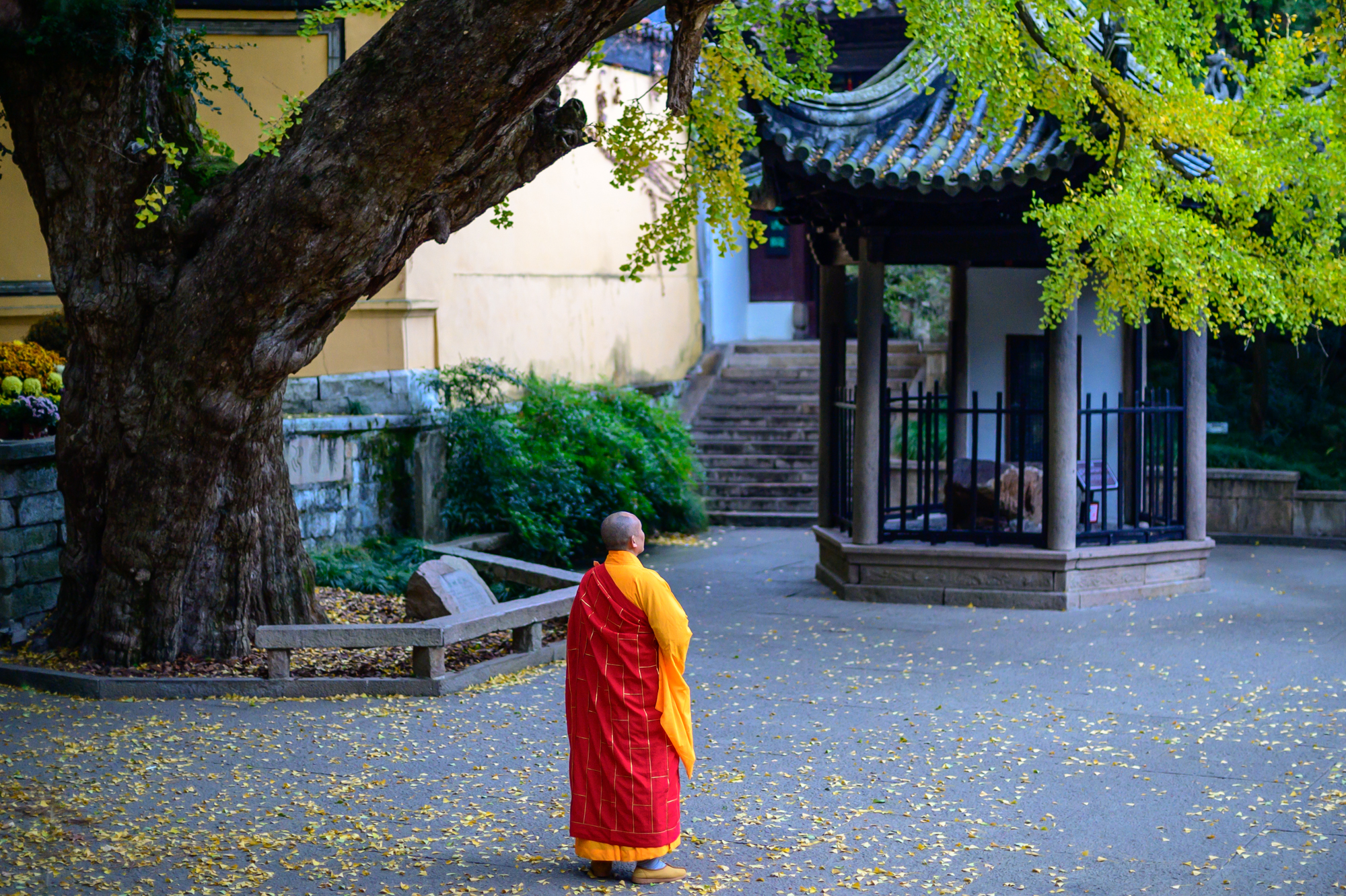 无锡排名第一的古寺，至今1500多年历史，寺前有一棵600年古银杏