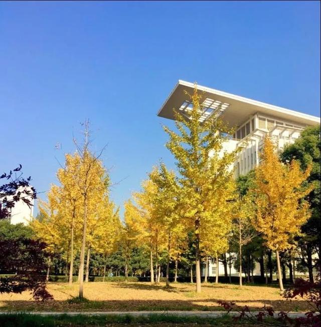 南师大商学院 现今的仙林校区已经形成了东,西,南,北四个区和一个