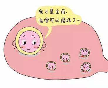 什么算是优势卵泡 f52c27a253fb4cdfa44f86f13f4ef5f7.jpeg