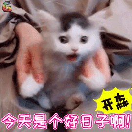 感恩节特辑| 专属表情包大放送，谢谢你表情！