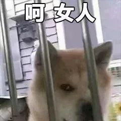 表情包丨两百斤的我，满脸写着可爱