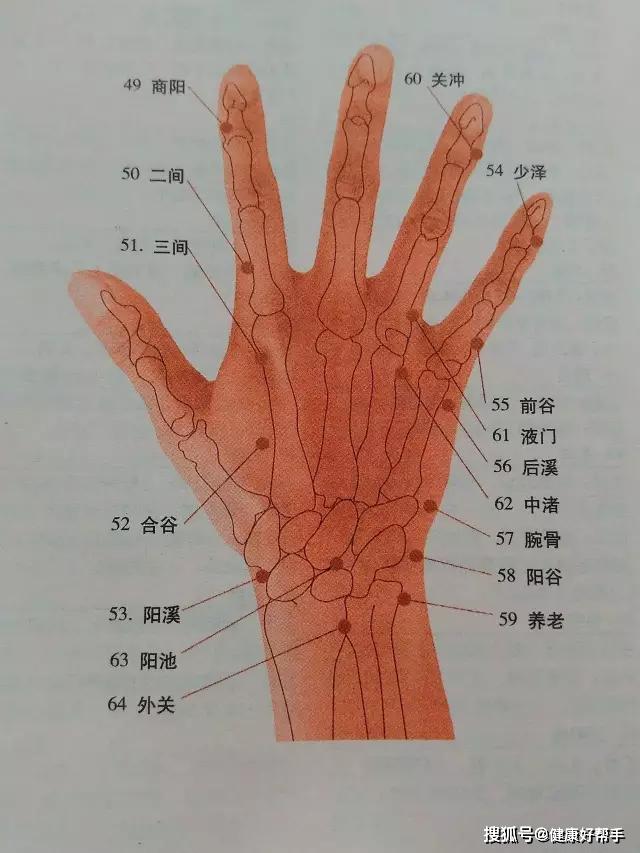 全身穴位图解一定要收藏