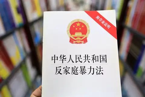 家暴行拘20日，算不算惩罚过轻？