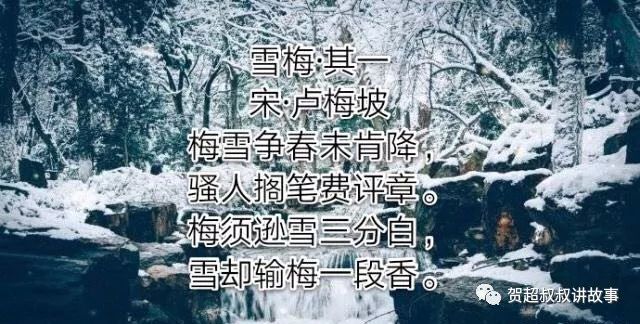 下雪了,读首诗纪念2019年场雪