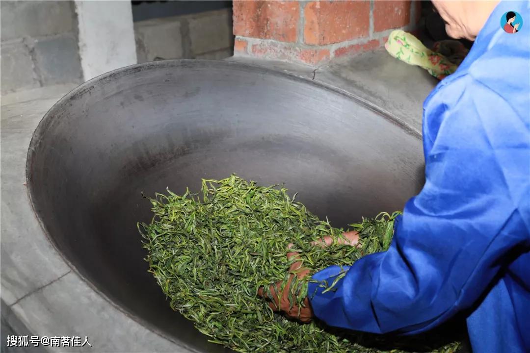 大叶种普洱茶才是真正的普洱茶？3分钟告诉你，中小叶种为何充满争议？