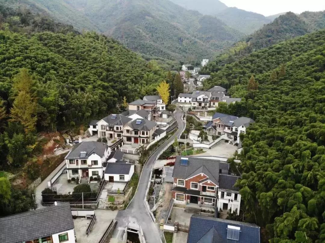 径山乡村振兴展望,余杭径山镇径山村,径山村旅游(第10页)_大山谷图库