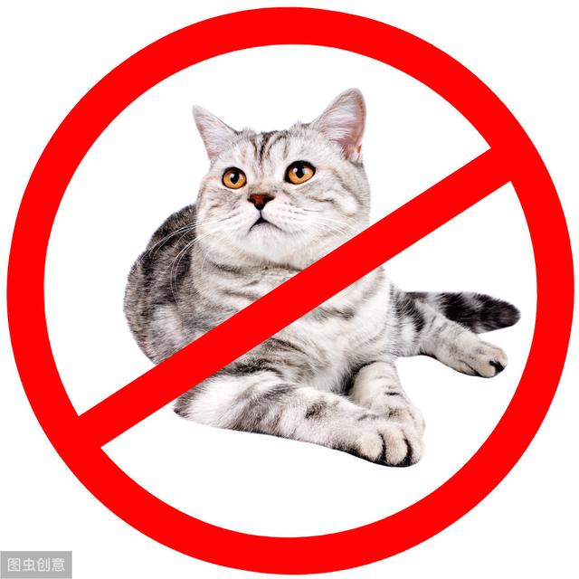 禁止养宠物将被解除你支持公寓养宠物吗