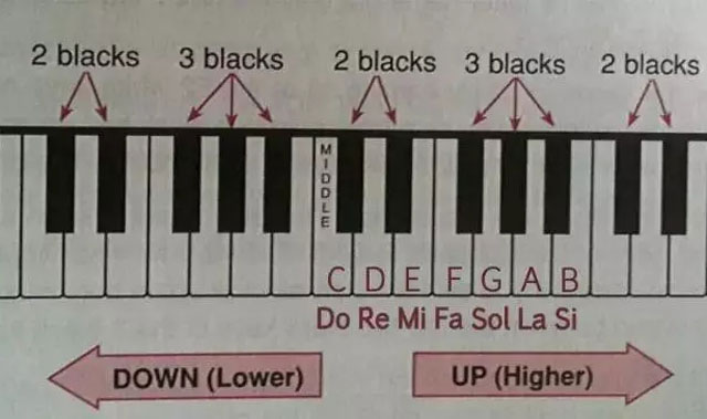 简谱与音名_简谱音名唱名对照表(2)