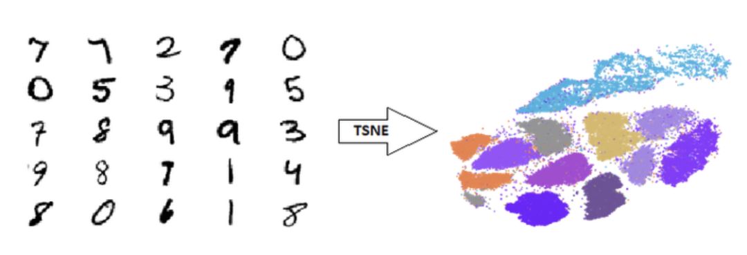 用 GPU 加速 TSNE:从几小时到几秒