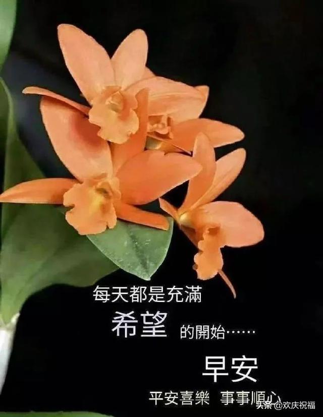 清早问候大家早上好的早安祝福语图片,最新早晨好问候