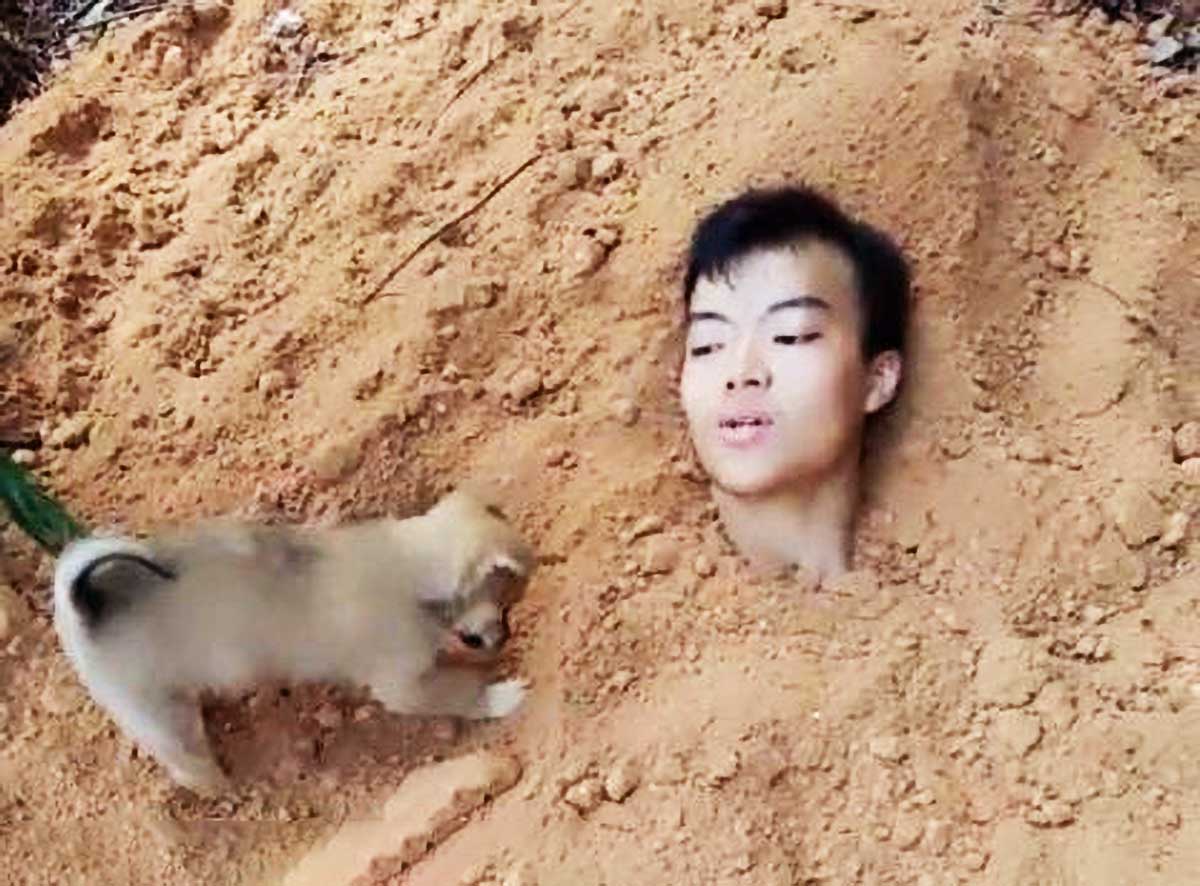 成语什么埋土狗_小土狗