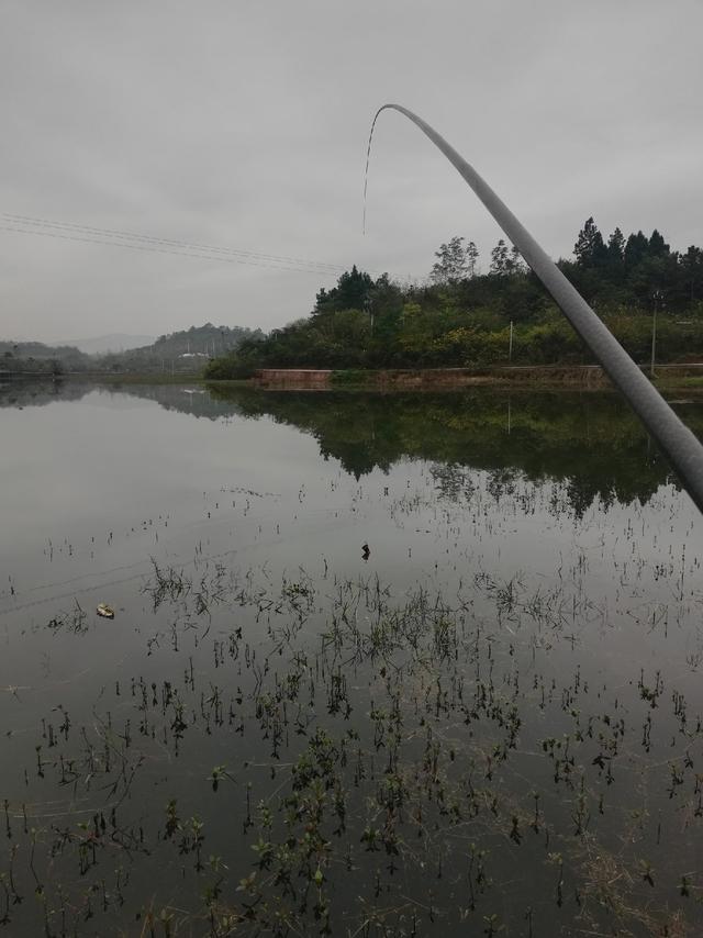 两个月没有到三岔湖钓鱼了早起还有点不适应,结果就是堵在上班高峰期