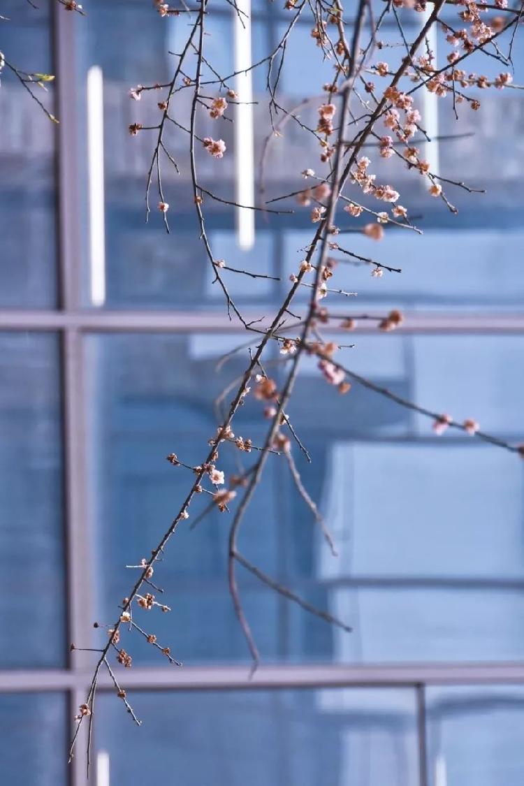 重大是什么色号?前方高能美图来袭!