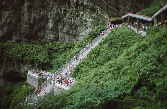 《思帝乡·下上天梯》庄灿煌