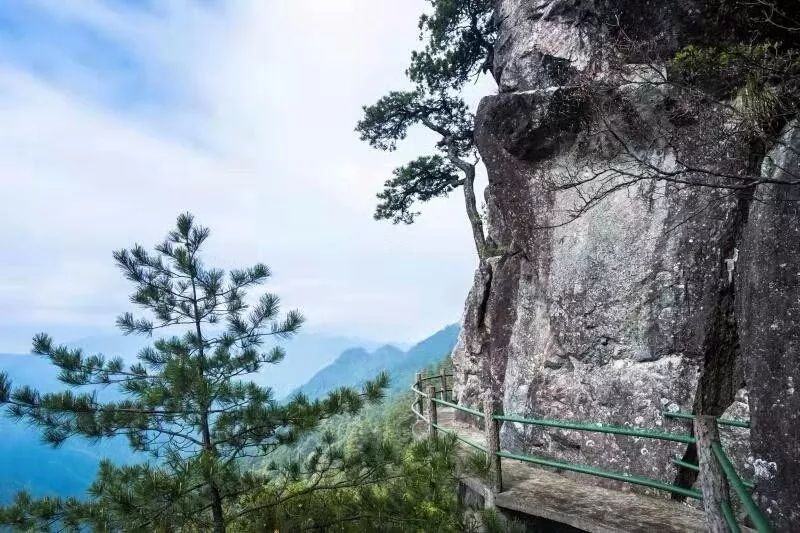 【如景随行】龙泉凤阳山