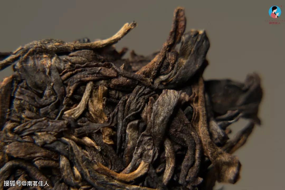 大叶种普洱茶才是真正的普洱茶？3分钟告诉你，中小叶种为何充满争议？