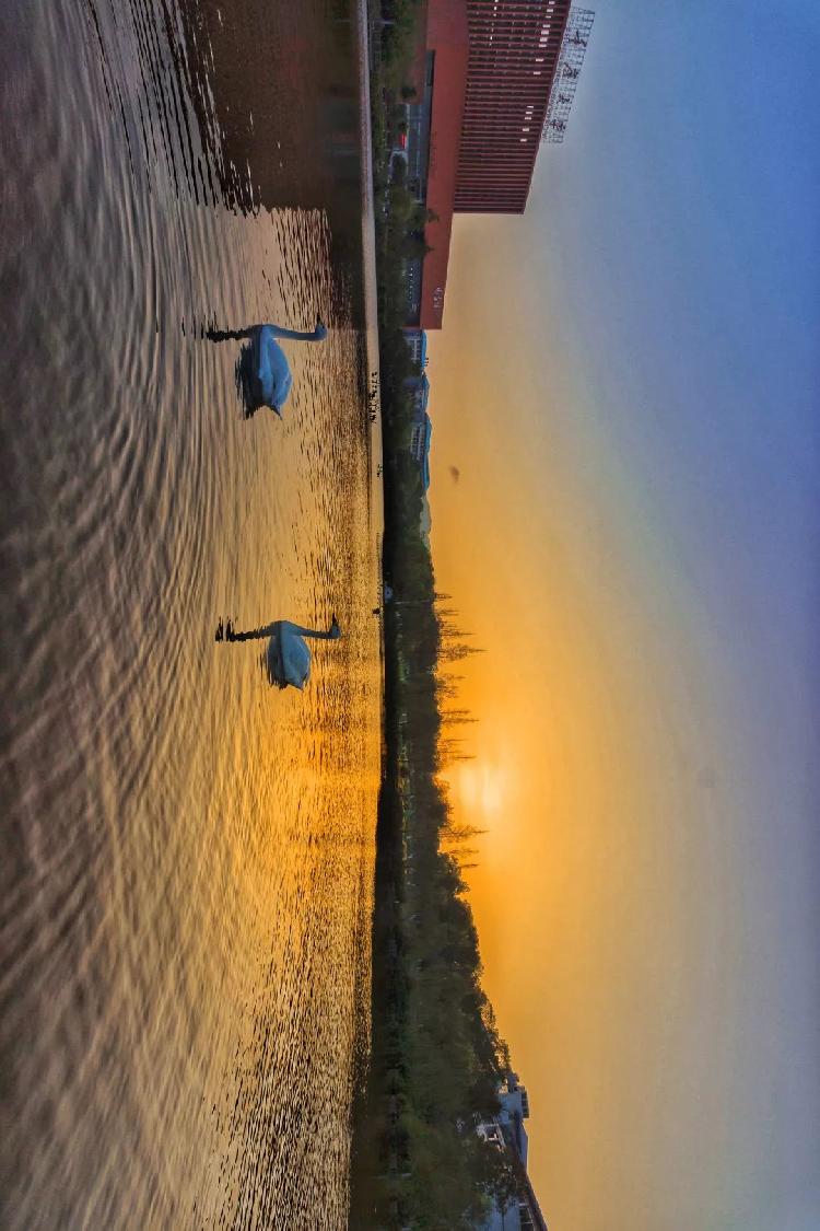 重大是什么色号?前方高能美图来袭!