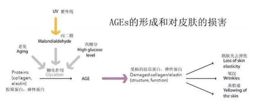 什么是糖化原理_皮肤糖化是什么意思