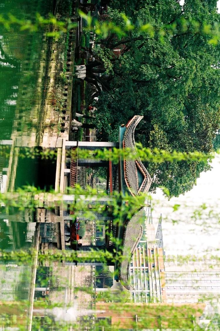 重大是什么色号?前方高能美图来袭!