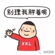 990000db189243de8854f51732769a6e.JPG
