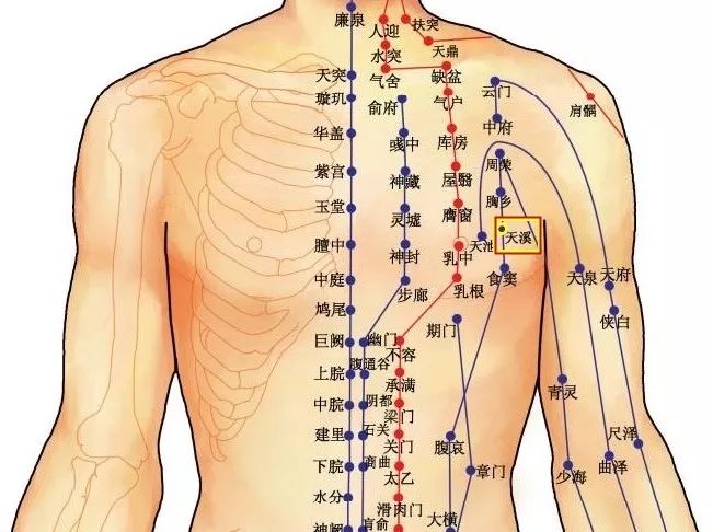 天溪穴有理气止咳,宽胸通乳的功效.