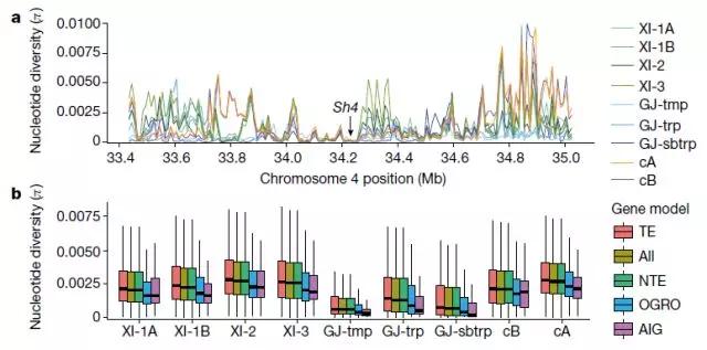 深度解析nature文章-中国科学家主导的3010份水稻重测序研究成果